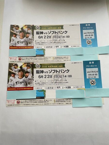 阪神タイガース ブリーズシート 通路側2席 6月22日14:00 交流戦 年間指定席三塁側