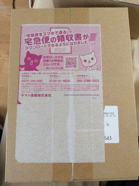熱風のアリーナ 1box シュリンク付き ポケセン産 未開封