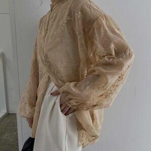 I_am flower embroidery blouse シアーブラウス フリーサイズ 長袖シャツ