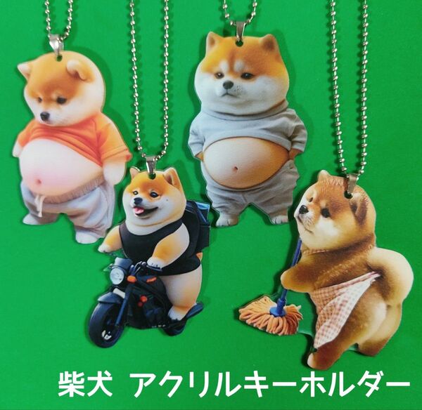 柴犬 アクリルキーホルダー 4個セット 犬