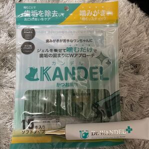 犬用 デンタルケア KANDEL Dr.WANDEL セット