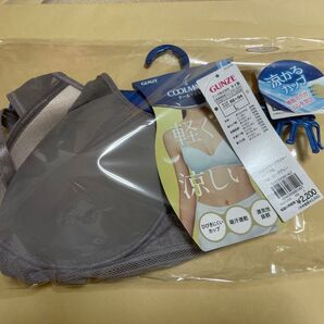 グンゼ クールマジック ノンワイヤーブラ L 軽くて涼しい