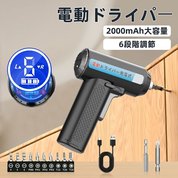電動ドライバー 小型 強力 USB充電式 2000mAh大容量 正逆転切り替え 軽量 初心者向け DIY専用 トルク6段階調節