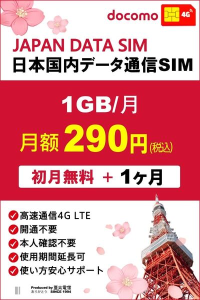 docomoプリペイドSIM 毎月1GB 購入月+1ヶ月 高速データ通信SIM 格安SIM prepaid sim