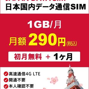 「nym様専用」2枚セットdocomoプリペイドSIM 毎月1GB 購入月+1ヶ月
