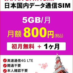 docomoプリペイドSIM 毎月5GB 購入月+1ヶ月 高速データ通信SIM 格安SIM prepaid sim