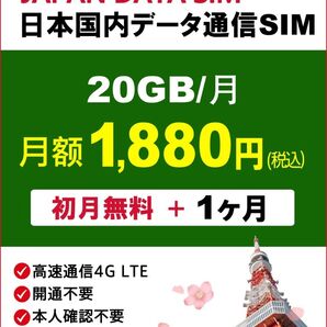 docomoプリペイドSIM 月間20GB★1ヶ月★高速データ通信SIM 格安SIM prepaid sim card
