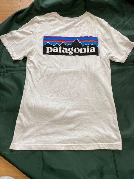 patagonia パタゴニア 半袖Tシャツ