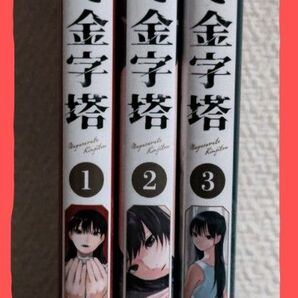 流されて金字塔 全3巻 稲妻桂 全巻セット 全巻初版