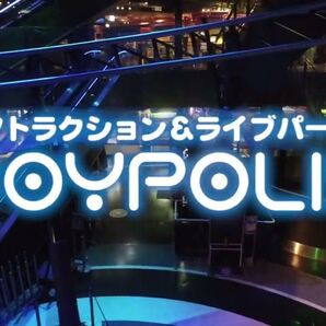 東京ジョイポリス 入場券 パスポート 引換券 2枚