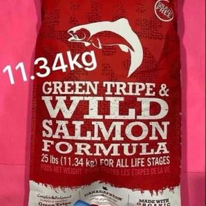 新品 ペットカインド トライプドライ グリーントライプ&ワイルドサーモン レギュラー粒 11.34kg リピーター様割引有ります!