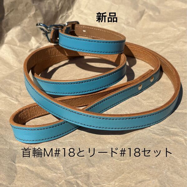 新品 レザー首輪M#18とリード#18セット ライトブルー