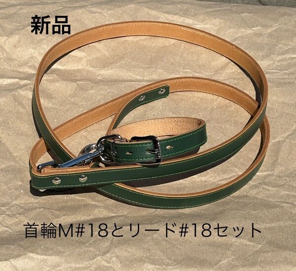 新品 レザー首輪M#18とリード#18セット グリーン