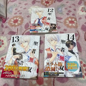 聖者無双12巻〜14巻