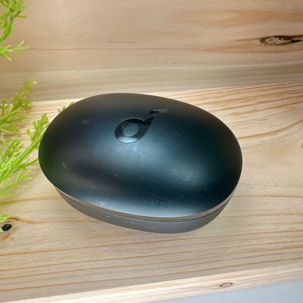 Anker Soundcore Life P2 Mini ケースのみ