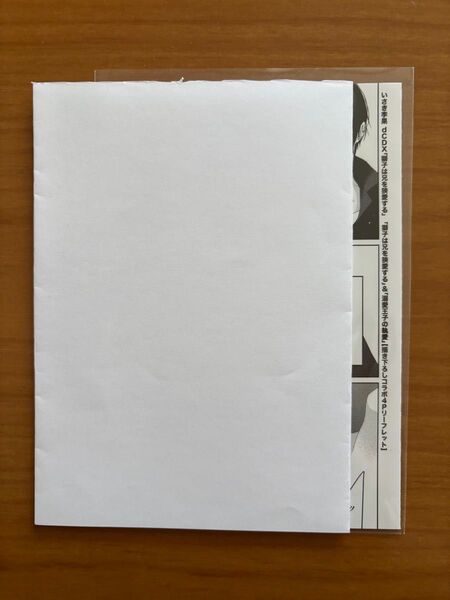BLコミック いさき李果 獅子は兄を狭愛する 溺愛王子の執愛 特典 drap 全員プレ リーフレット
