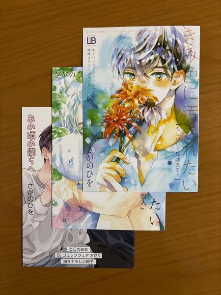 BLコミック さがのひを きみ色に汚されたい 特典 とらのあなBLコミックフェア2023 小冊子 リーフレット ホーリンラブ