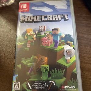 Minecraft ソフト Switch