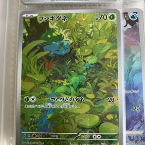 ポケモンカード フシギダネ AR