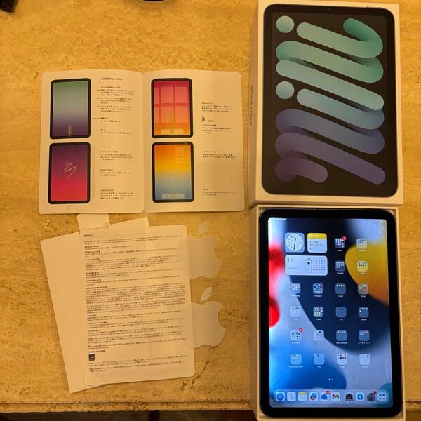 iPad mini 第6世代 Wi-Fi セルラー 64GB スペースグレイ バックライト難あり