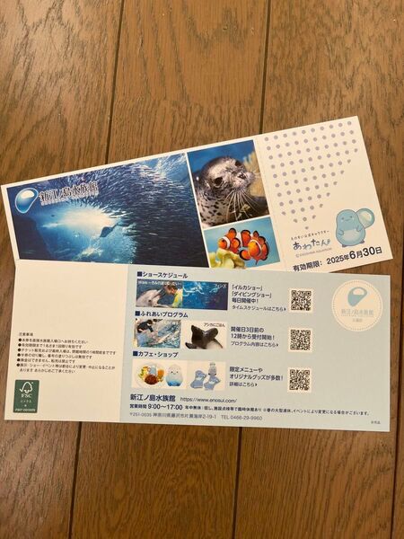 新江ノ島水族館ご招待券 2枚