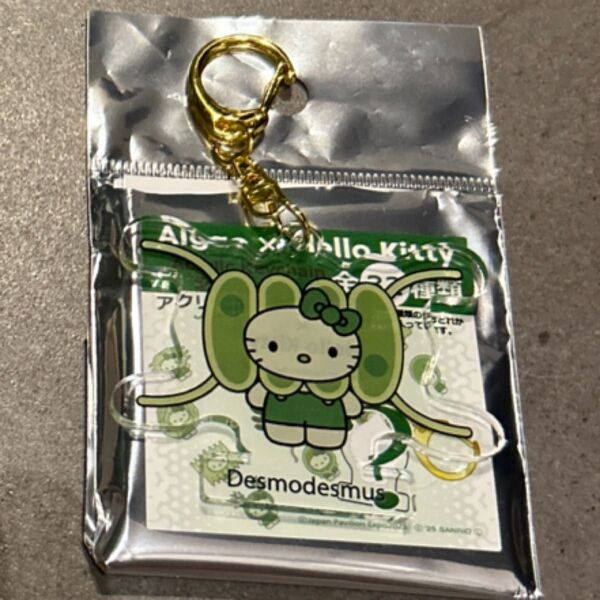 大阪関西万博 日本館 ハローキティ アクリルキーホルダー 2025 EXPO トゲイカダモ Desmodesmus