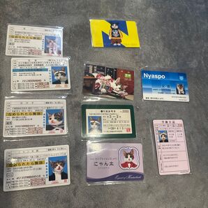 【なめ猫 免許証風 又猫 ニャン太郎】なめんなよ猫 なめねこ 猫 ネコ