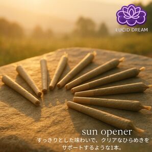 LUCID DREAM Sun Opener プリロール 10本