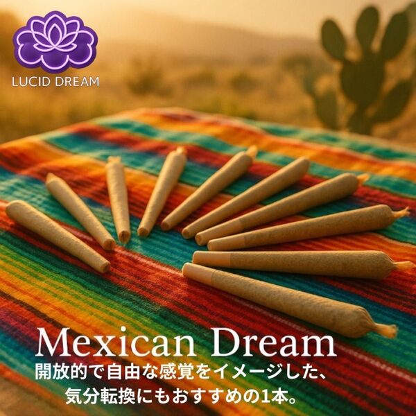 LUCID DREAM メキシカンドリーム プリロール 10本