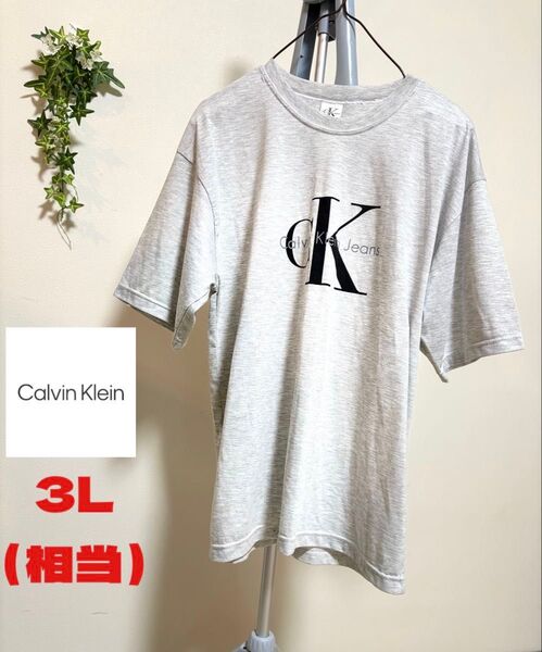 【Calvin Klein】【3L(相当)サイズ】カルバン・クライン メンズ Tシャツ 半袖 ロゴプリント トップス カットソー