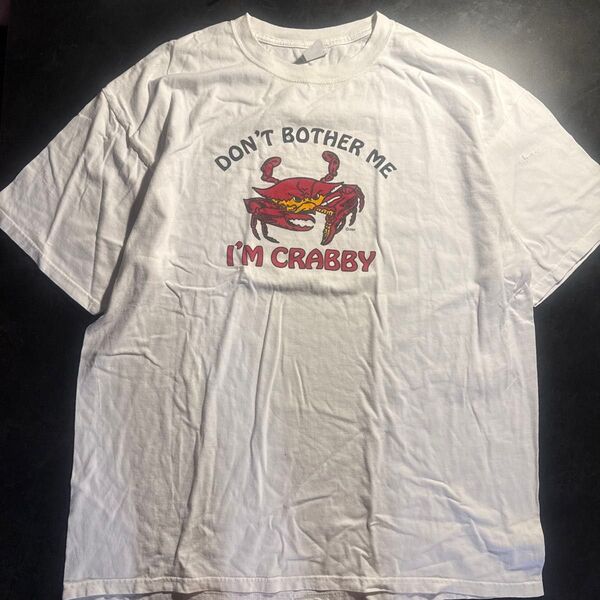 DON'T BOTHER MEOUS&AI'M CRABBY 半袖Tシャツ Tシャツ ホワイト プリント ビンテージ ビックサイズ