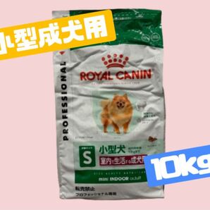 ★ロイヤルカナン ミニ インドア アダルト10kg★小型犬の成犬用!