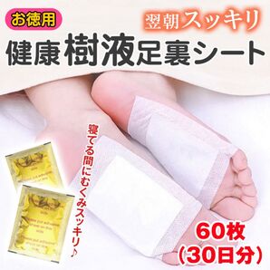 足裏樹液シート 足裏シート 疲れ むくみ 旅行 健康 スポーツ 個包装 60枚