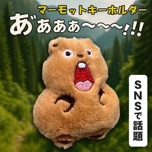 マーモット キーホルダー ストラップ ぬいぐるみ マモケツ ふわふわ