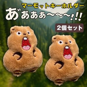マーモット キーホルダー ストラップ ぬいぐるみ マモケツ 2個組 ふわふわ