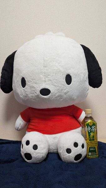 ポチャッコ サンリオキャラクターズ なつかしシリーズ プレミアムぬいぐるみ