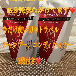 TAKE3 シャンプーTAKE3 (テイクスリー) 2袋セットプラス 使い切りパックシャンプーコンディショナーおまけ5個付き