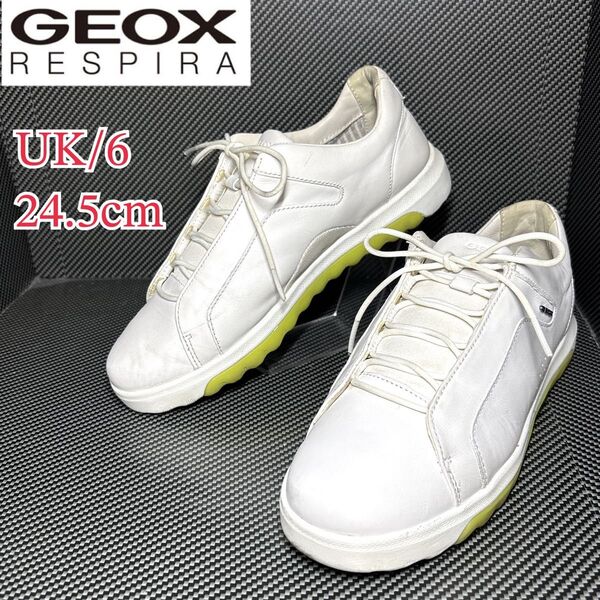 GEOX ジェオックス レザー ローカット スニーカー US6/24.5cm