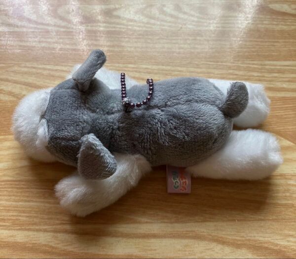 くったりシュナウザー 寝そべり ぬいぐるみ 人形 可愛い 小型 犬 タグ無し キーホルダー グレー 灰色