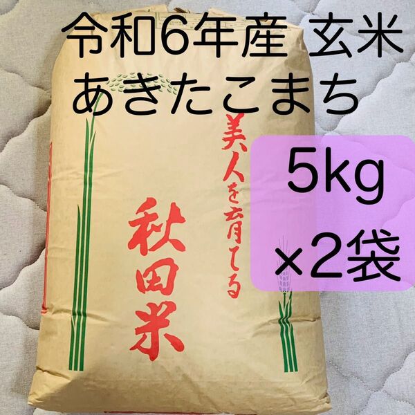 令和6年産 秋田県産 あきたこまち 玄米 5kg 2袋