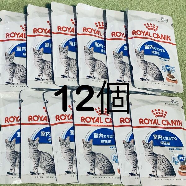 ロイヤルカナン 猫 インドア グレービー パウチ 85g 12袋