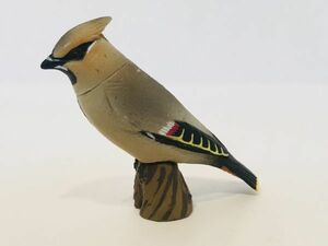 キレイジャク　鳥　フィギュア　とり　日本　生き物　生物　動物　ミニチュア　Bird　７