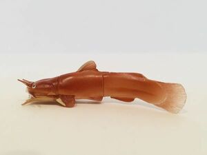 アカザ　魚類　海　魚　川　フィギュア　日本　生き物　生物　動物　ミニチュア　４１