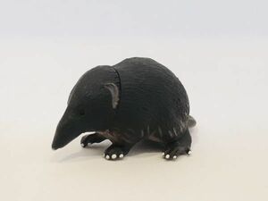 トガリネズミ　ハムスター　ねずみ　フィギュア　日本　生き物　生物　動物　ミニチュア　２