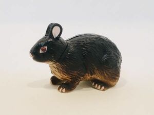 アマミノクロウサギ　うさぎ　フィギュア　日本　生き物　生物　動物　ミニチュア　５