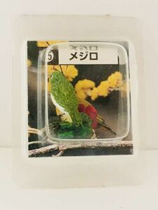 メジロ　鳥　フィギュア　とり　日本　小鳥　生き物　生物　動物　ミニチュア　野鳥　Bird　未使用　７９