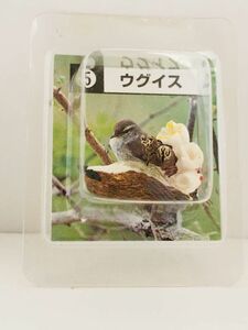 ウグイス　鳥　フィギュア　とり　日本　小鳥　生き物　生物　動物　ミニチュア　野鳥　Bird　未使用　６７