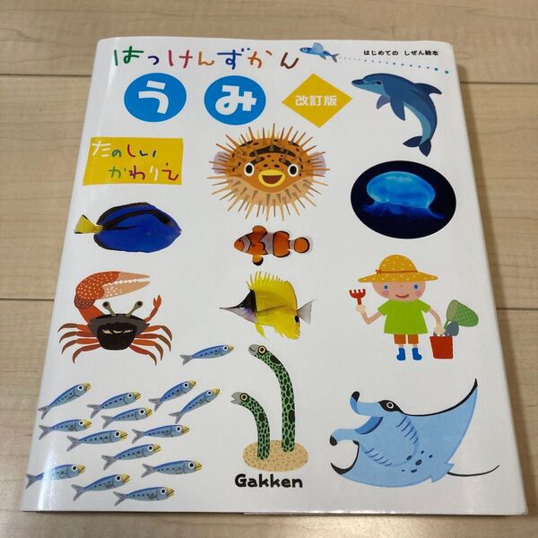 【美品】カバー付き はっけんずかんうみ (はじめてのしぜん絵本) たのしいかわりえ しかけ絵本 海の生き物 定価税抜1980円