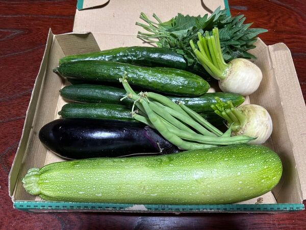 野菜セット きゅうり キュウリ ズッキーニ インゲン いんげん 野菜 ナス ナスビ カブ かぶ