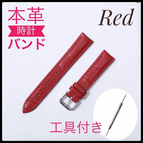腕時計ベルト 12mm レッド 本革 新品未使用 工具付き ばね棒2本付き